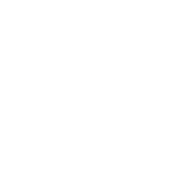 Outdoor Holding Company Share Price